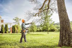 Best Arborist Consultation Services  in Milton, NY